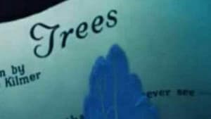 Trees — foto 2