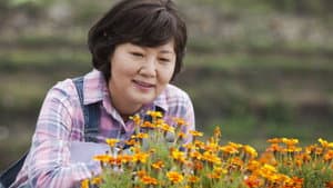 고봉실 아줌마 구하기 — foto 1