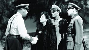 Reunion in France — foto 2