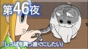 Episodio 46
