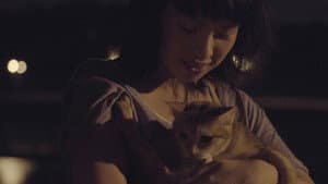 夜貓 — foto 5