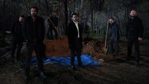 Episodio 31