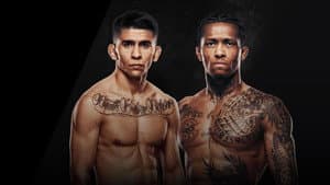 UFC Fight Night 266: Bautista vs. Oliveira — foto 4
