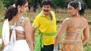 மகனே என் மருமகனே — foto 1