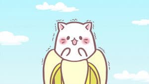 Episodio 13