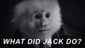 WHAT DID JACK DO? — foto 4