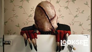 The Look-See — foto 4