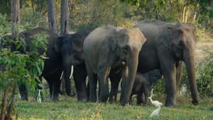 Kui Buri: Thailand's Hidden Eden — foto 1