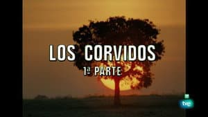Episodio 52