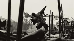 McCullin — foto 3