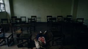 Violator — foto 2