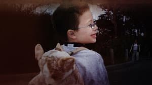 Little Boy Lost: An ID Mystery — foto 4