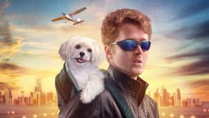 Perro aéreo — foto 3