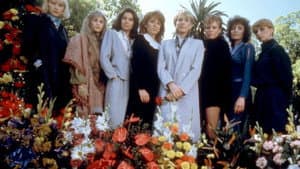 The Man Who Loved Women — foto 4