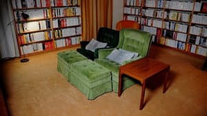 Bergmans video — foto 2