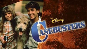 Casebusters — foto 6