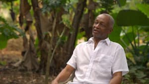 Mamá Tingó: Memoria viva de la tierra dominicana — foto 3