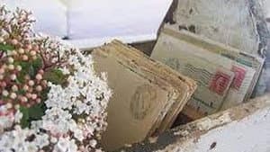 Cartas ao Mundo — foto 1