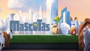 La vida secreta de tus mascotas — foto 1
