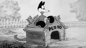 El canguro de Mickey — foto 6