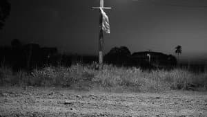 Fordlandia Malaise — foto 1