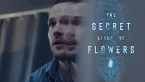 The Secret Light of Flowers — foto 1