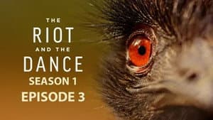 Episodio 3