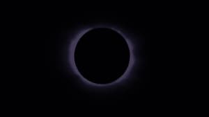 Le soleil tout entier ne se trouve nulle part — foto 2