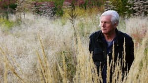 Five Seasons: The Gardens of Piet Oudolf — foto 4