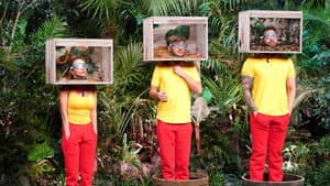 Episodio 7