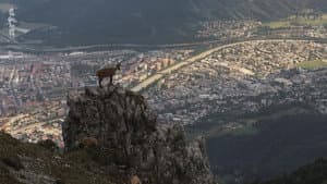 Wildes Innsbruck: Zwischen Moderne und alpiner Wildnis — foto 1