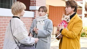 Episodio 8