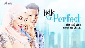 Hello, Mr. Perfect! — foto 1