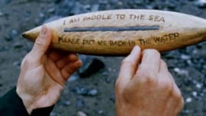 Paddle to the Sea — foto 1