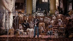 Hotel para Perros — foto 3