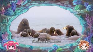 Episodio 9