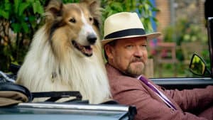 Lassie: Una nueva aventura — foto 9