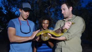 Episodio 7