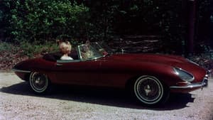 The Prince and the Nature Girl — foto 4