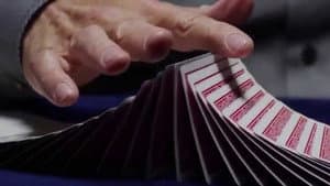 Dealt — foto 3
