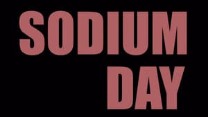 Sodium Day — foto 2