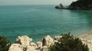 Travolti da un insolito destino nell'azzurro mare d'agosto — foto 4