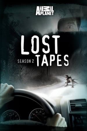 Temporada 2