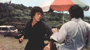 唐山虎威殲殺手 — foto 4
