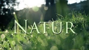 Natur — foto 2