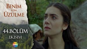Episodio 44