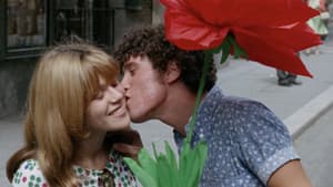 La sequenza del fiore di carta — foto 1