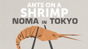 Ants on a Shrimp — foto 7