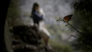 Mariposa — foto 1