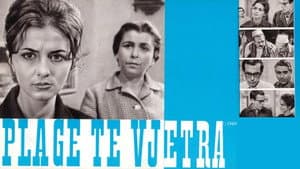 Plagë të vjetra — foto 2